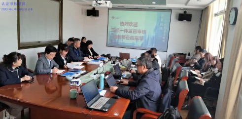 瓦力游戏股份通过质量、环境和职业健全安全治理系统年度监督审核