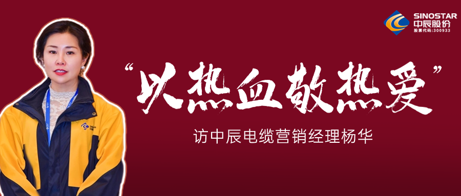 真正的酷爱，铸就销售女王——访瓦力游戏电缆营销经理杨华