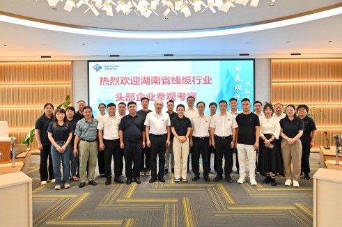 聚智 协同 共享——湖南线缆头部企业莅临瓦力游戏电缆调查互换