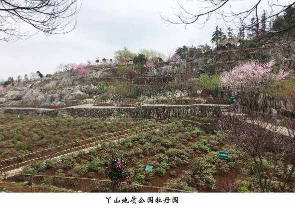 瓦力游戏| 首页 -瓦力出品,必属精品
